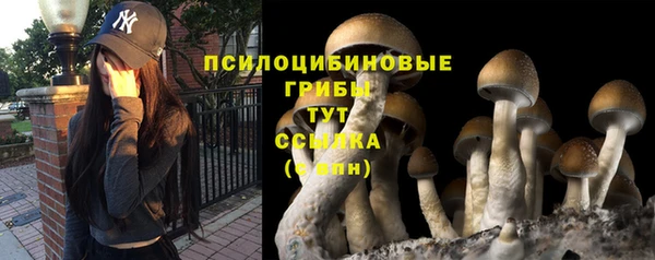 PSILOCYBIN Баксан