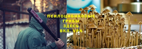 PSILOCYBIN Баксан