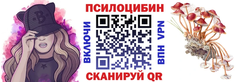 KRAKEN tor  Никольское  Псилоцибиновые грибы прущие грибы 